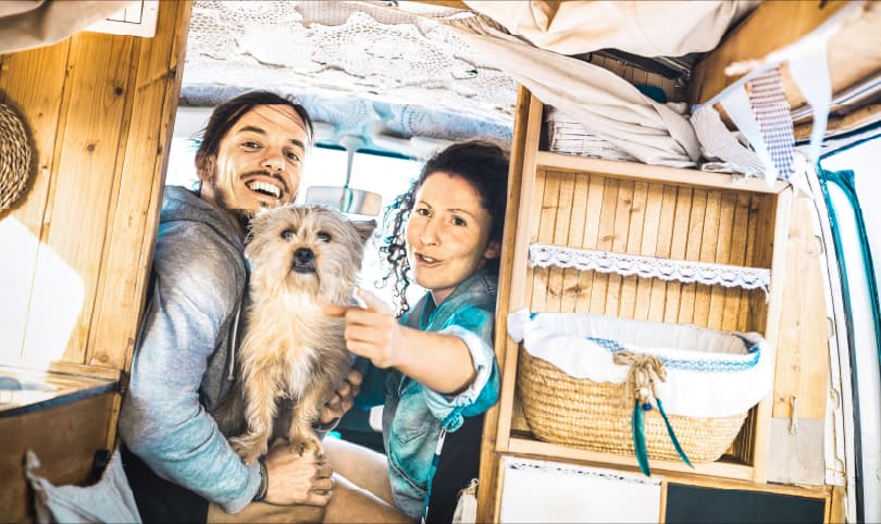 Autocaravanas para viajar con perros en España